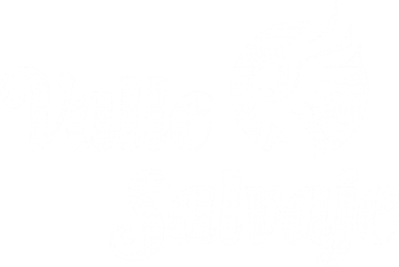 Valle salvaje
