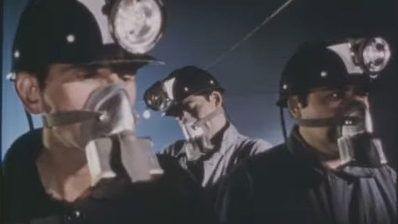 Gallery image from dyLRRQSwbNoeqOeGtTwpgw4TX6B.jpg