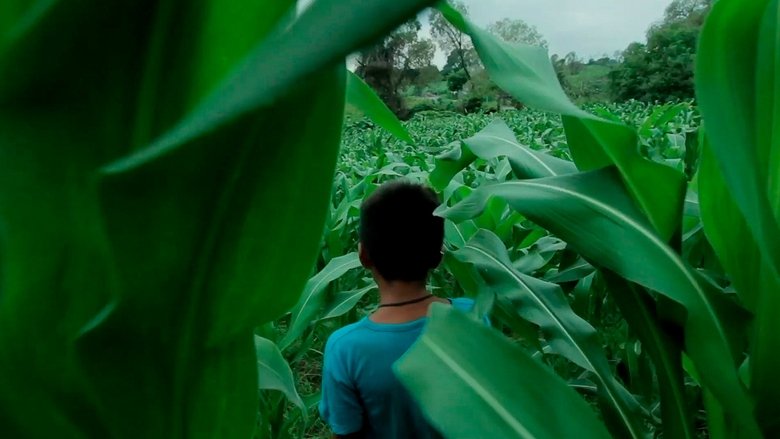 Gallery image from dyPGhxPekBngDtZTn0zDqBmY1nE.jpg