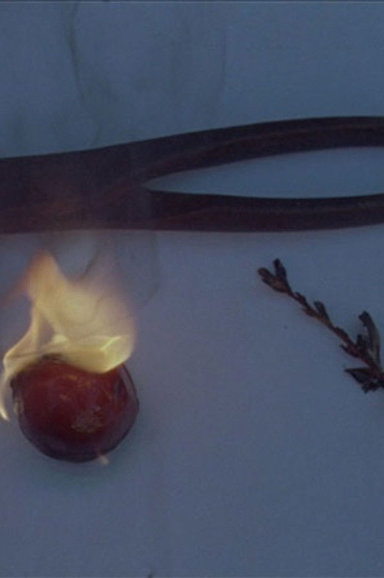 Imatge de L'Huile et le Fer