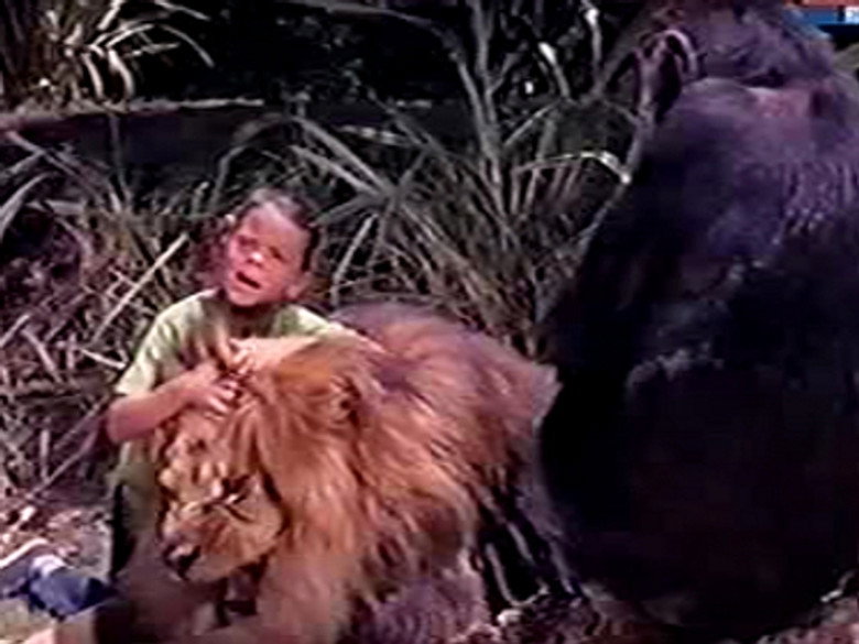 Still from Daktari - ซีซัน 4 ตอน 13