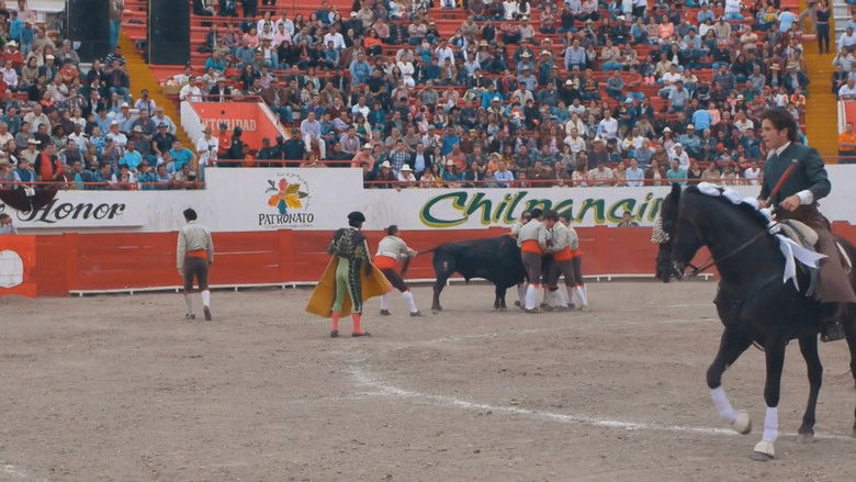 Gallery image from e0JsAd09Rs17AneqUB562nxGhHv.jpg