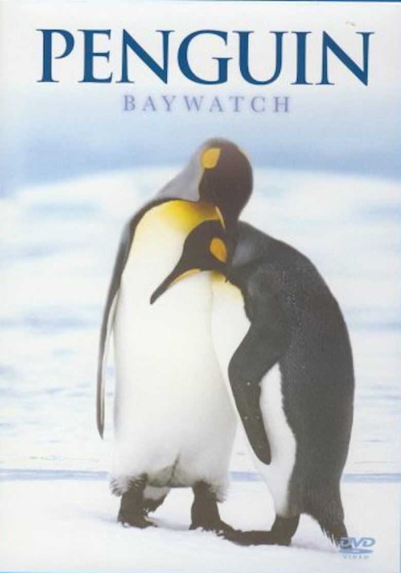 Penguin Baywatch Antarctica main poster