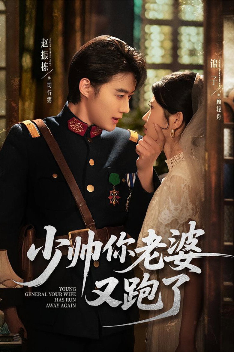 Official poster for 少帅你老婆又跑了