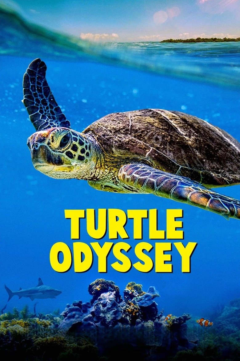 Turtle Odyssey main poster