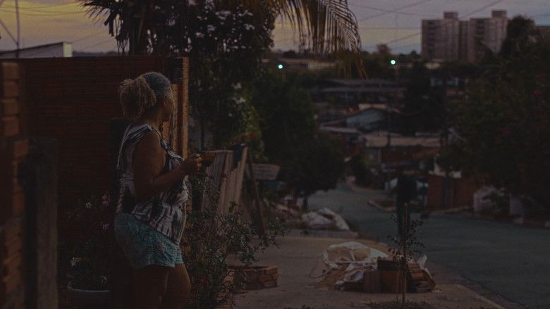 Gallery image from e4J72PqUU5h1dxIxqAjPyvBu1jy.jpg