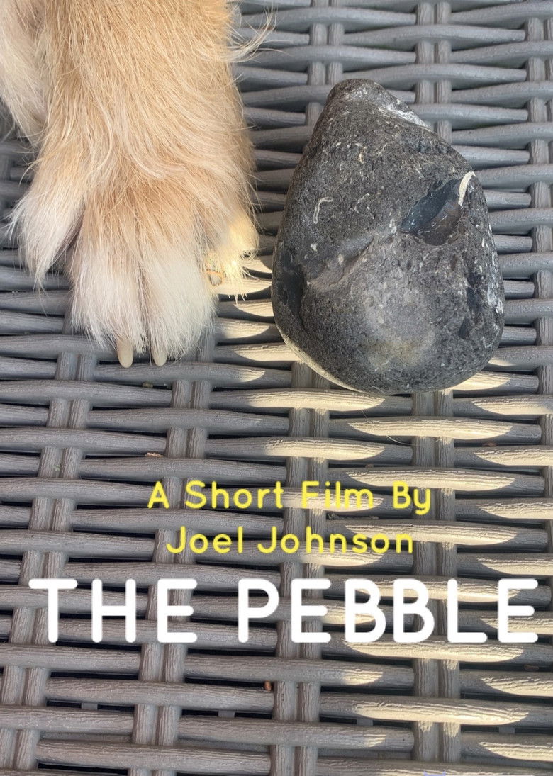 Imatge de The Pebble