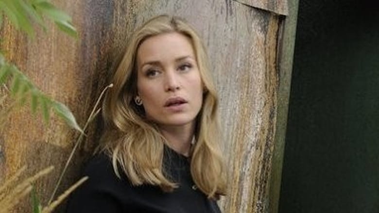 Covert Affairs Season 2 Episode 12