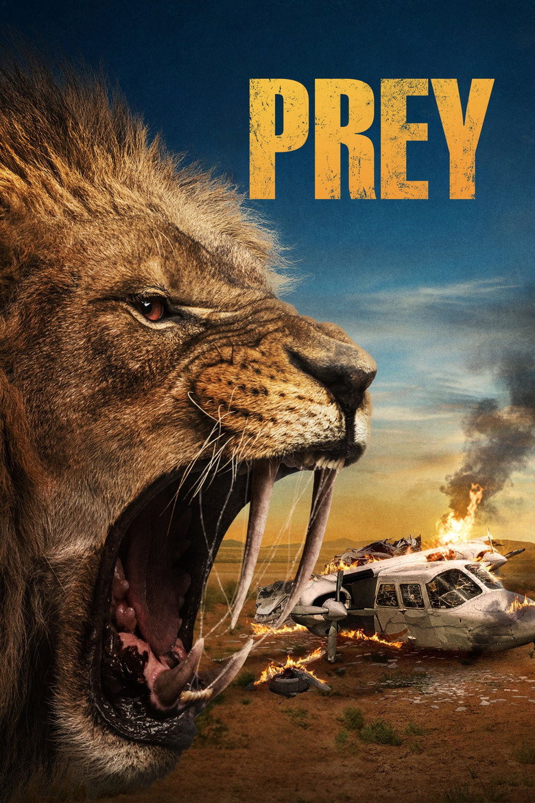 Póster la Película