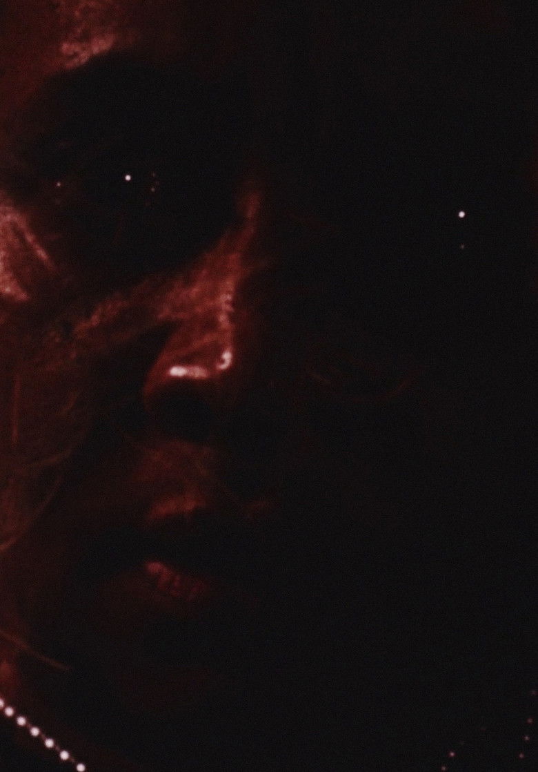 Imatge de Remembrance: A Portrait Study