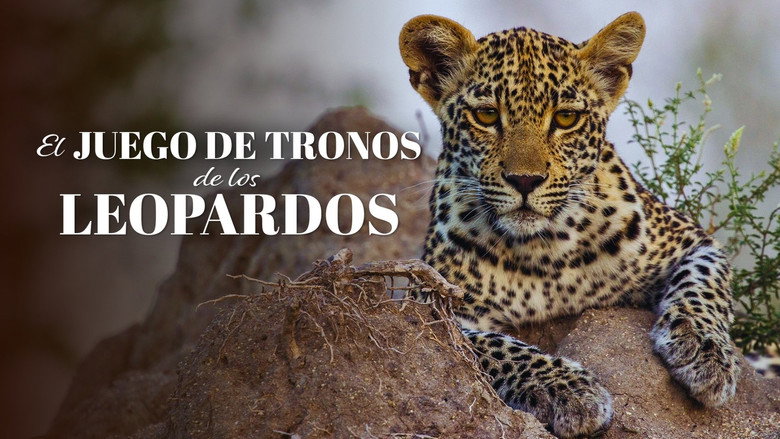 Fondo del título