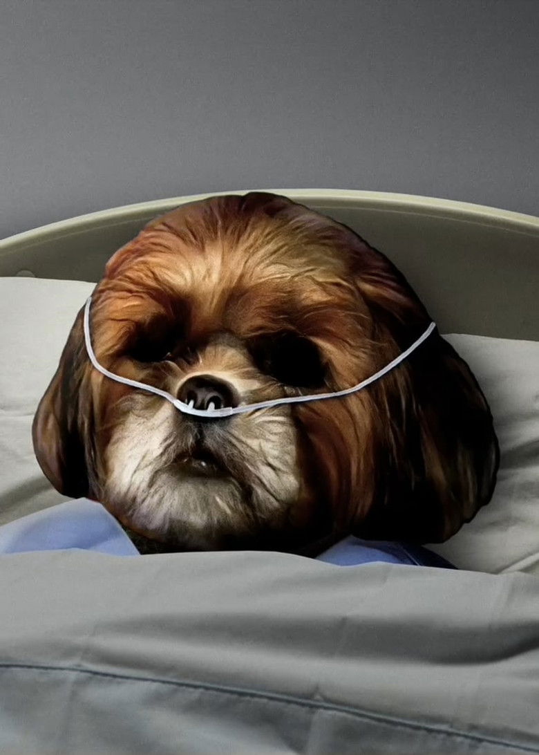 Imatge de O Natal do Bruno Aleixo