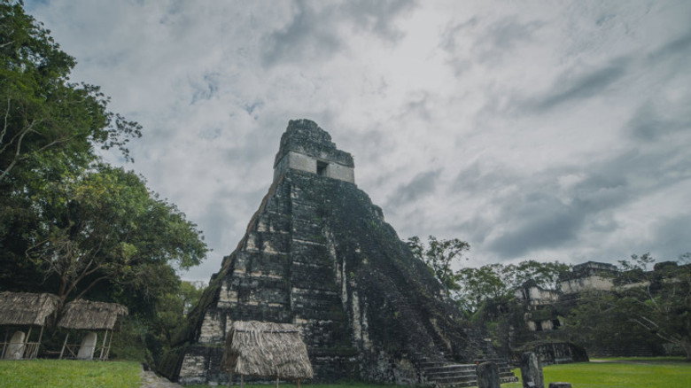 Tikal - The Jungle City görseli