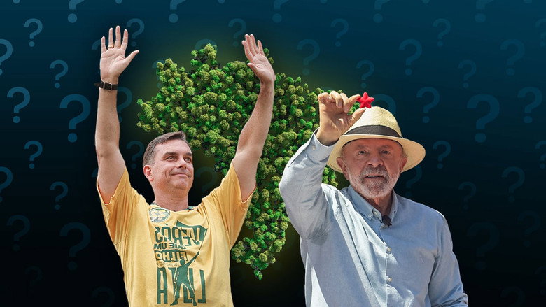 Why Brazil’s Election Matters for the Amazon