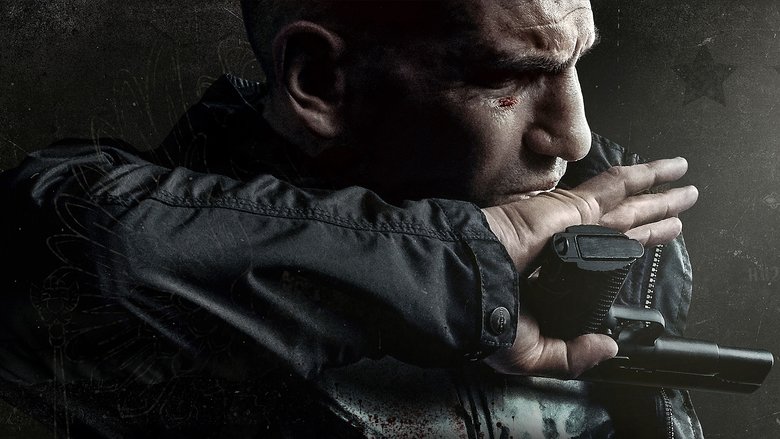 Banner of Marvel's The Punisher