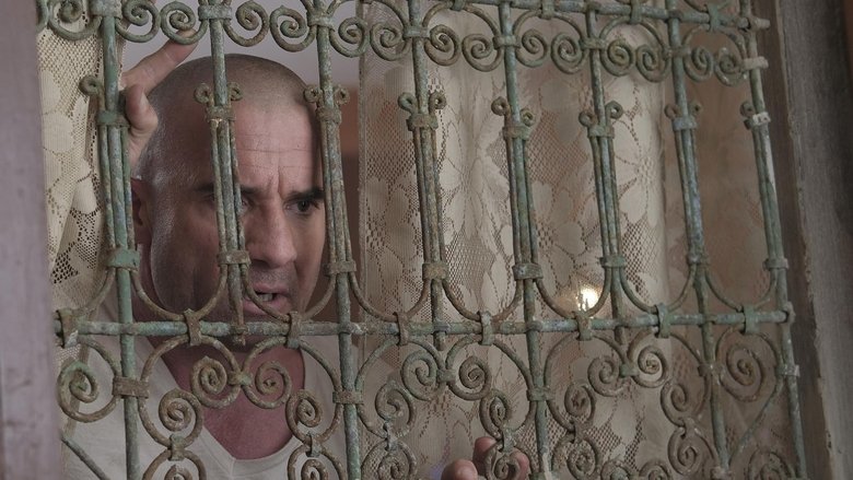 prison break film stream prison break film stream