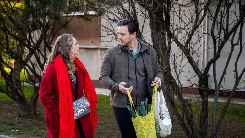 Still image for Papiery na szczęście season 1 episode 141: Episode 141 Still image for Papiery na szczęście season 1 episode 141: Episode 141