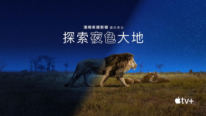 Gallery image from e7dszakXeZ2DJud5XgDCWRFOjtn.jpg