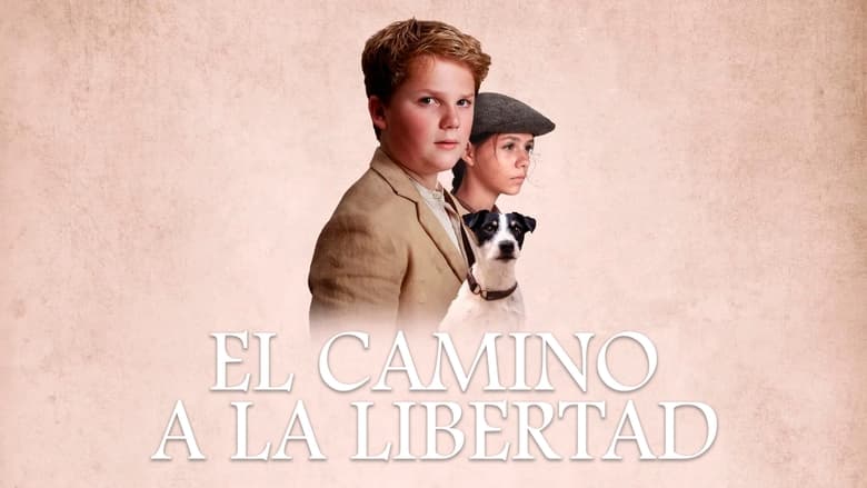 Gallery image from e7mOrSvUiD7sVcFkW0PXZd99iBK.jpg