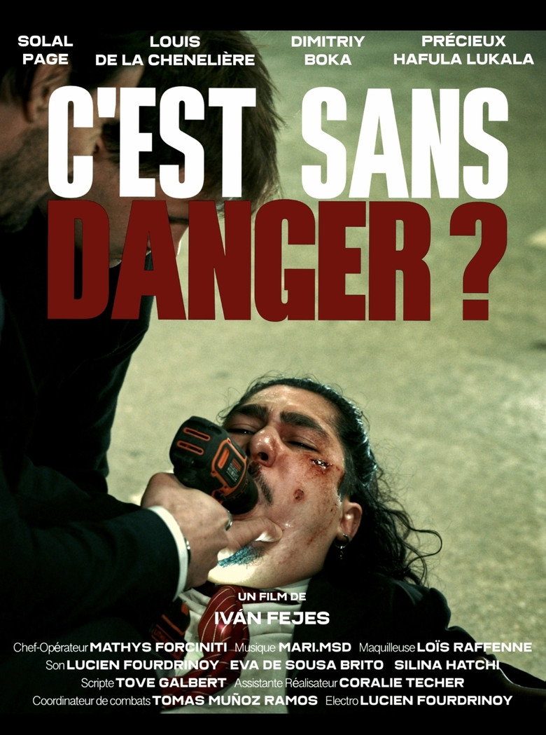 Imatge de C'est sans danger ?