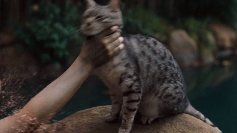 Image d'arrière-plan 7 du film One Missed Call