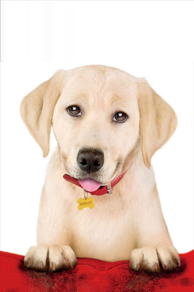 Imatge de Marley & Me: The Puppy Years