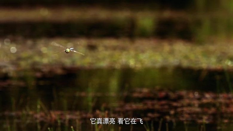 Gallery image from e8RI9EbVFToPPOswzeAvfPMp33J.jpg