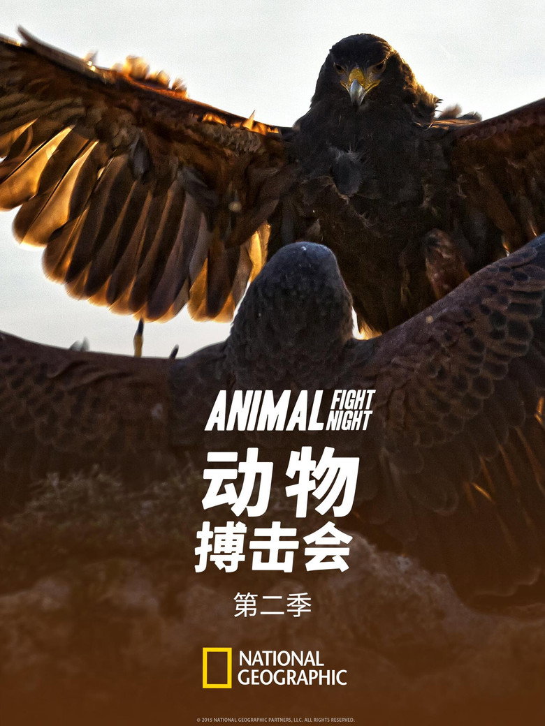 Season 2