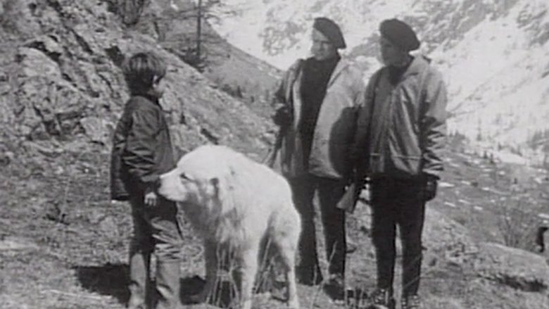 Still image for Belle et Sébastien season 1 episode 8: Episode 8