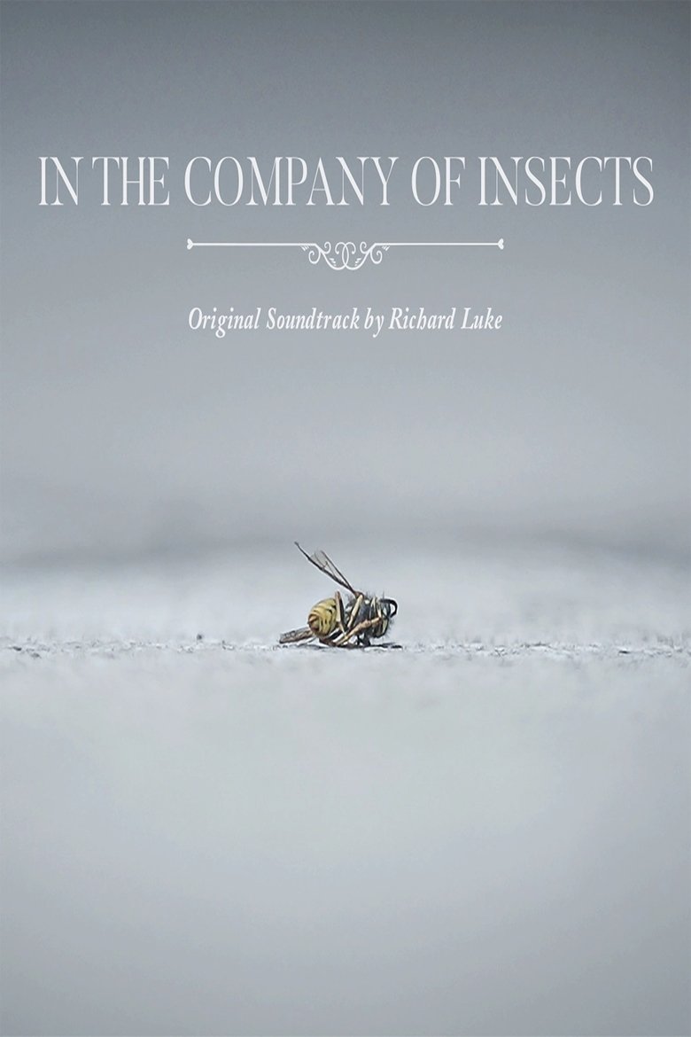 In the Company of Insects main poster