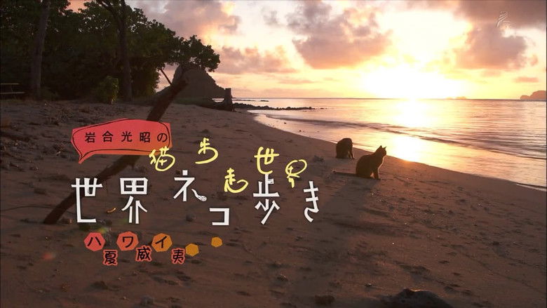 Still image for Mitsuaki Iwago's World “Cats” Travelogue season 1 episode 17: Hawaii Still image for Mitsuaki Iwago's World “Cats” Travelogue season 1 episode 17: Hawaii