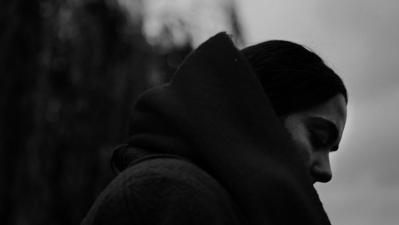 Gallery image from e9tDS9nI8AjJerVFuExo0KDuOr9.jpg