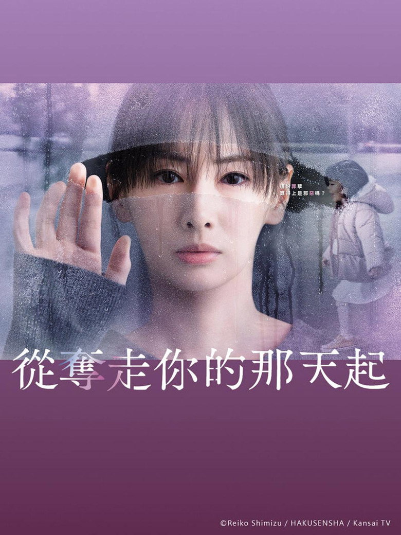 从夺走你的那天起 封面海报