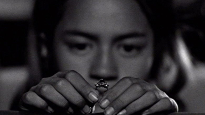 Imatge de Two Cars, One Night