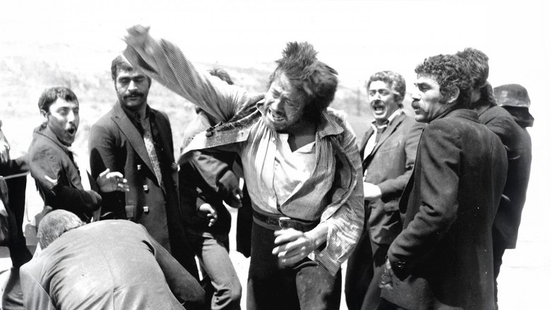 Deli &#350;ahin (1976)