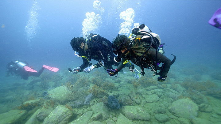 Still image for Dive Rules Deep Dive - Hong Kong season 1 episode 9: Episode 9