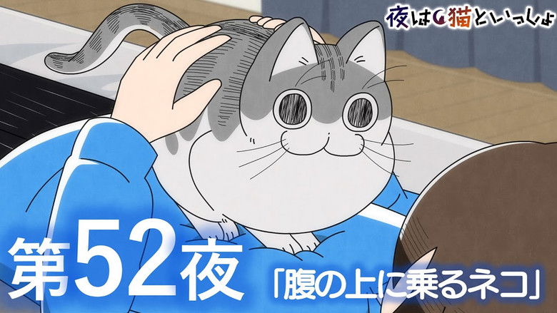 Still image for Nights with a Cat season 1 episode 52: Night 52: A Cat Climbing on Your Stomach
