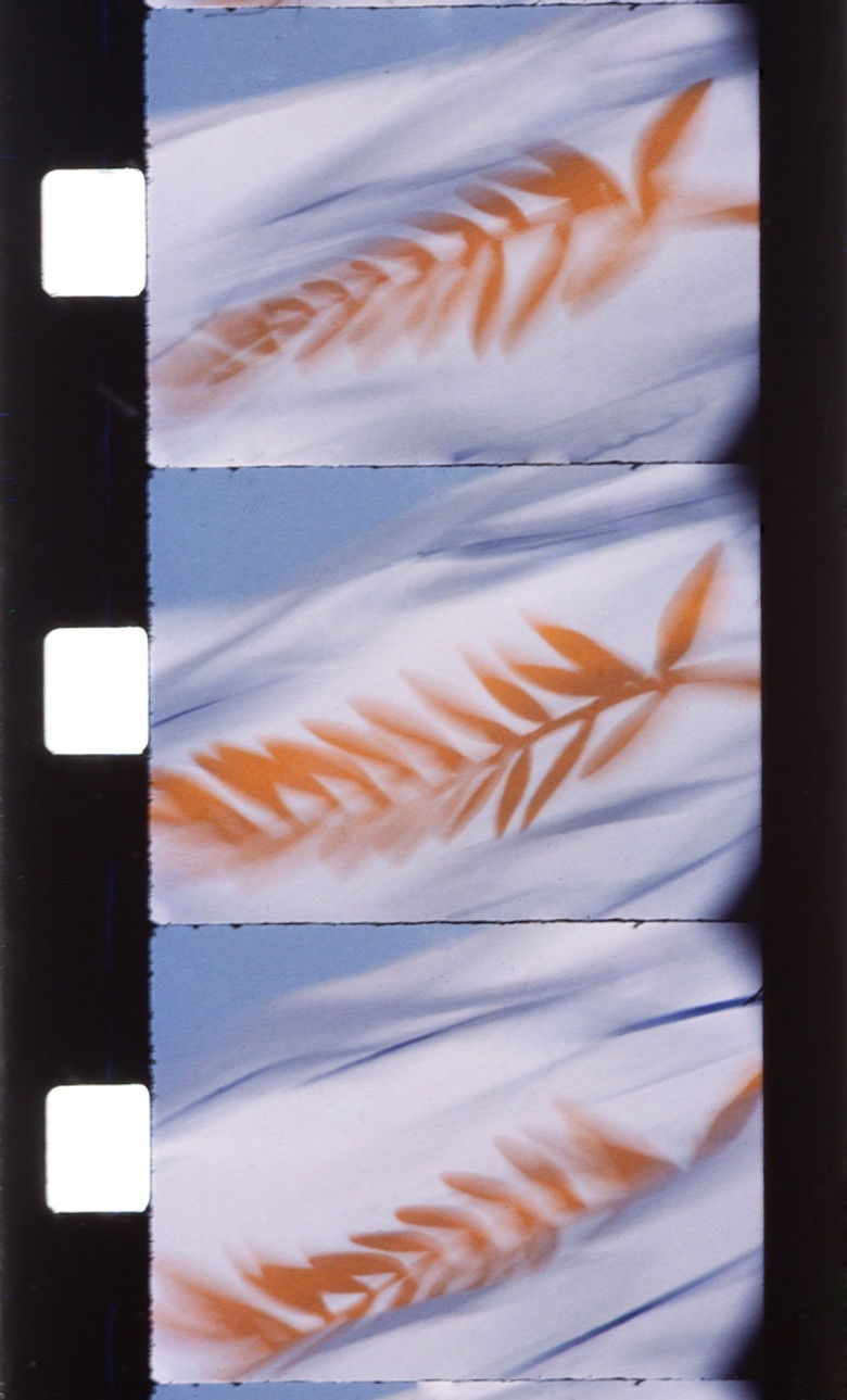 Imatge de Citron pressé au Blue Bar