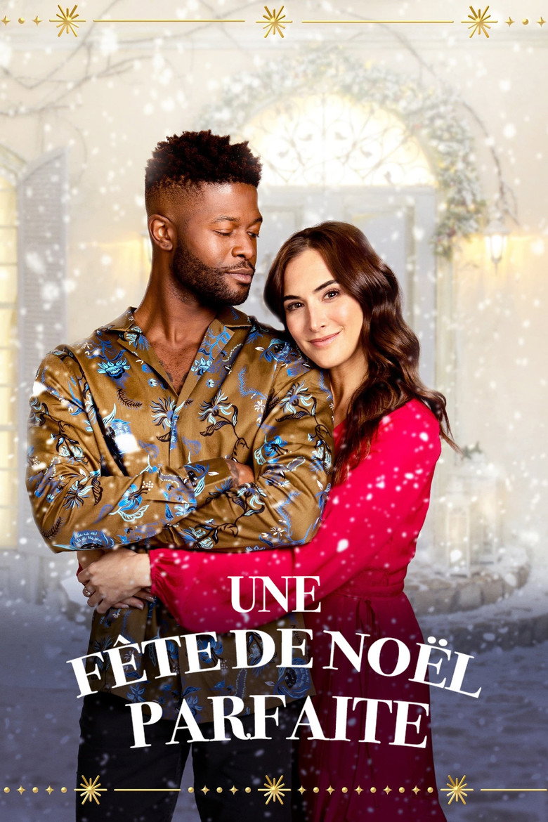 Affiche de Une fête de Noël parfaite