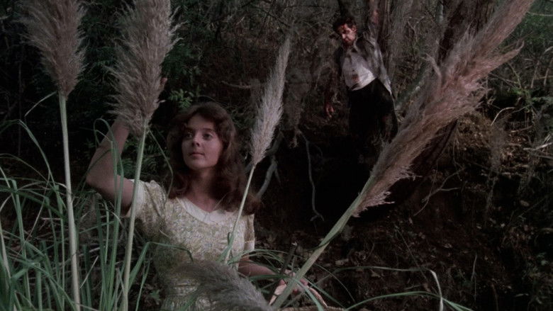 Image d'arrière-plan 7 du film Ruby