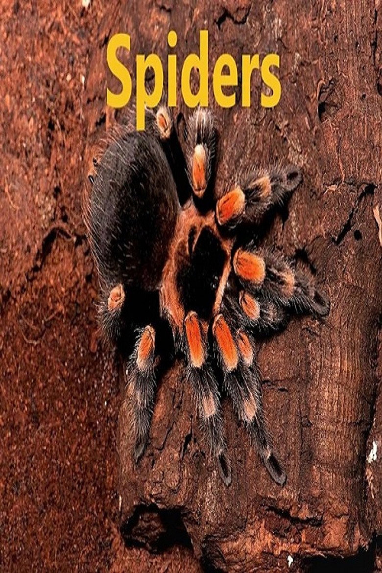 Affiche ou illustration — Spiders