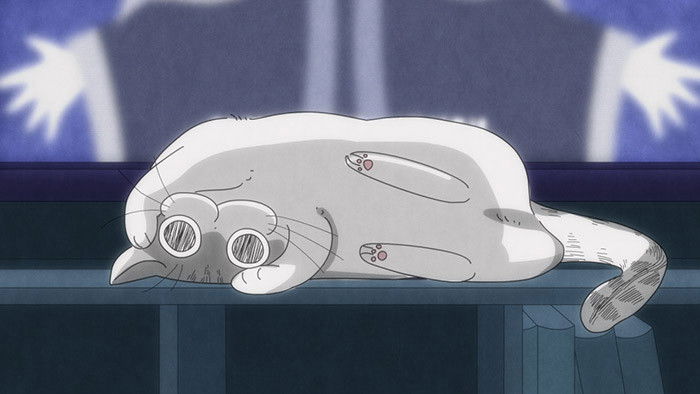 Still image for Nights with a Cat season 1 episode 27: Night 27: The Movie-Interrupting Cat