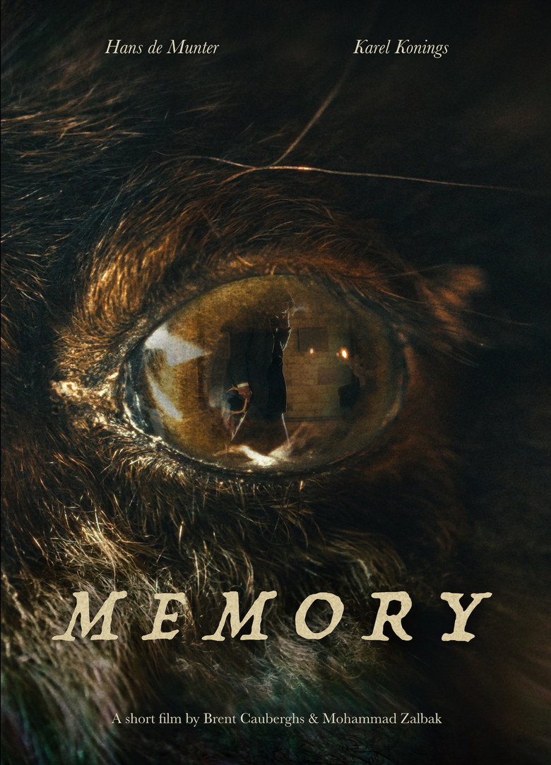 Imatge de Memory