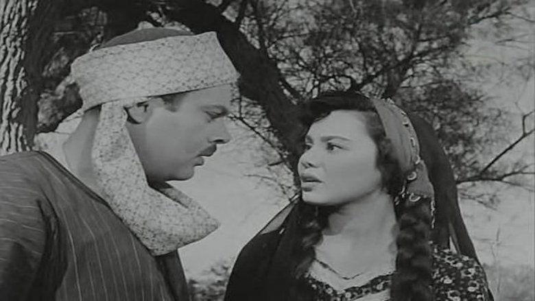 Gallery image from eDiZkh4gJm16IWzZyhGYc36IzHe.jpg