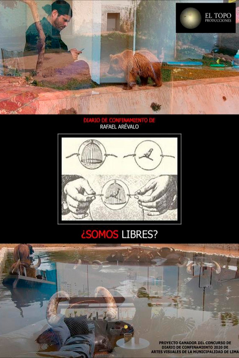 Imatge de ¿Somos libres?
