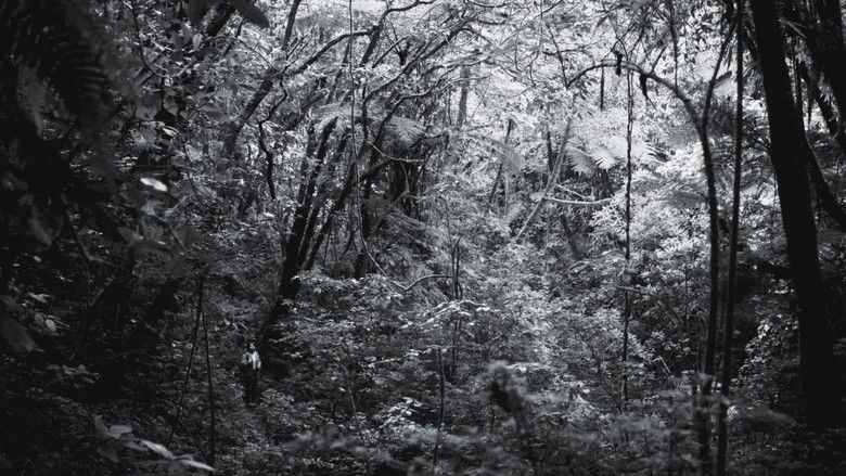 Gallery image from eEJAumyjTqhXxOLEHUALjVST7PN.jpg