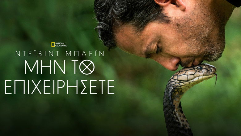 Gallery image from eESmQmKQvrykLsuvcHSX8kPbU1O.jpg