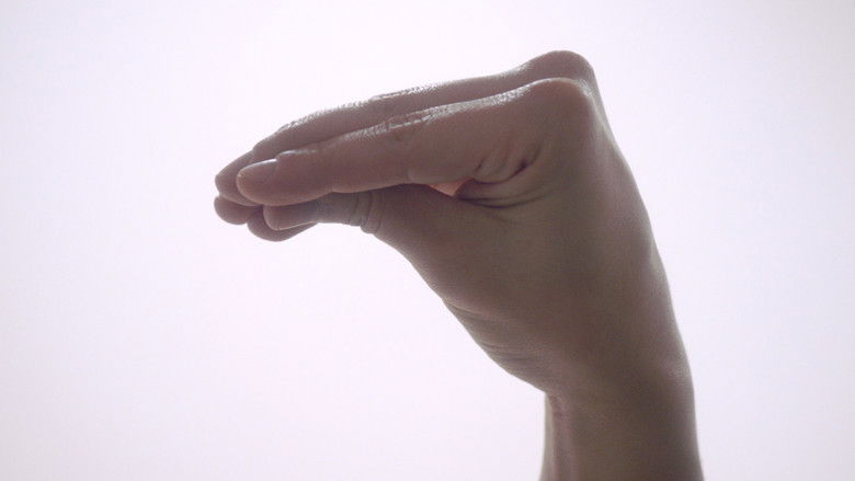 Backdrop de Nymphomaniac Collection