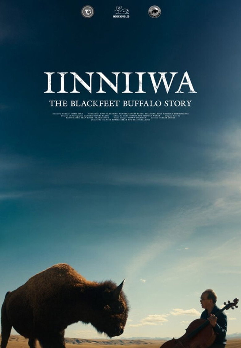 Iinniiwa: The Blackfeet Buffalo Story