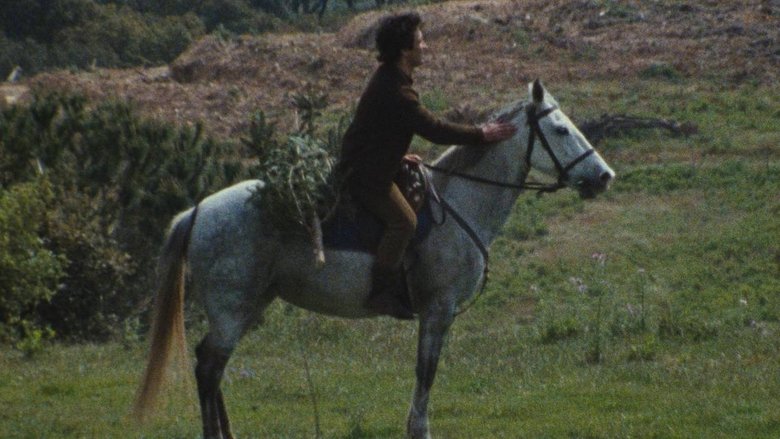 Gallery image from eEpTdIkTasKIjicjxUYFubQzAEw.jpg